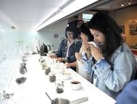 【Workshop(s)】[Certificate Class] Tea Tasting Level 1 (Kaohsiung Class)