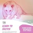 Learn to Sketch | Wednesday | May 29th 2024