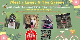 Meet & Greet at the Greene