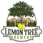 Solo at The Lemon Tree brewery