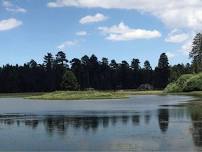 Big Bear Hike to Bluff Lake, the Champion Lodgepole Pine, and Castle Rock