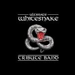 Ultimate Whitesnake live at Trillians Rock Bar, Newcastle-upon-tyne.