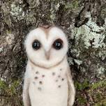 Needle Felting Owl Class