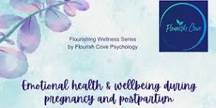 Emotional health & wellbeing during pregnancy and postpartum