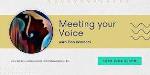 Meeting your Voice