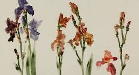 Field of Beauty: The Iris Monotypes