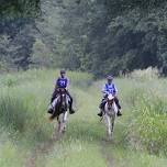 Brushy Creek NATRC Competitive Trail Ride