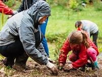 Community Matariki planting – Wellsford-Worker Reserve