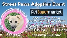 Adoption Event