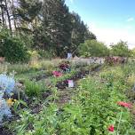 Guided seed collection tour