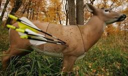 Public 3D Archery Shoot - Lenawee County Conservation League