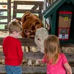 Harvest Festival Weekend — Liberty Ridge Farm | Family Things to Do | Albany, NY | Saratoga, NY