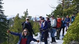 Free Guided Hike: Forestry, Formations & Falcons with TINS