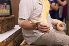 Snake Education with a Twist