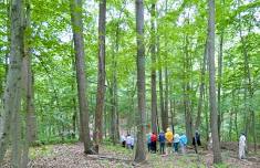 First Saturday Wellness Walk- Bordentown Bluffs