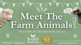 Meet The Farm Animals!