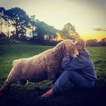 LIFESTYLE SHEEP FARMING WORKSHOP