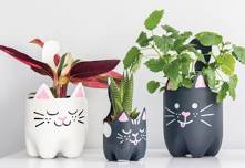 Soda Bottle Kitten Planter