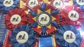 High Desert Horse Show