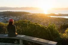 ⭐ A HILL CLIMB! and views of beautiful Whakatū (Nelson)