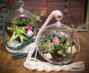 Terrarium Workshop with LeeAnn