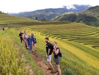 ⭐ A day trekking tour with local – Find a real Sapa