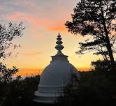 RETREAT: Infusing Mindfulness with Metta & Compassionate Wisdom