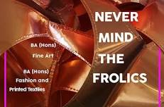 Never Mind the Frolics - University Centre Colchester - Summer Exhibition - Preview Evening