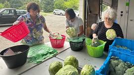 VSDC Packs Fruits and Veggies for Local Families in Need