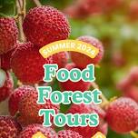 Food Forest Tours & Summer Plant Sale