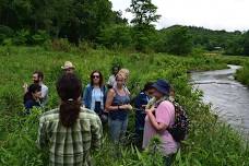 Double Feature Wetland Tour