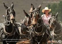 Hells Canyon Mule Days