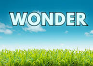 Wonder - A Church Gathering for Families with Children