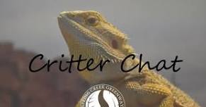 Critter Chat