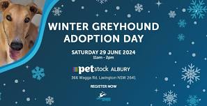 WInter Adoption Event Petstock Albury