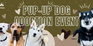 PUP-UP DOG ADOPTION EVENT