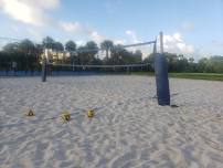 Let's start from scratch: Beginners guide to volleyball