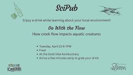 SciPub- Go with the Flow