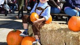 Oktoberfest at Sugar Mountain Resort