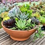 Succulent Bowl Saturday!