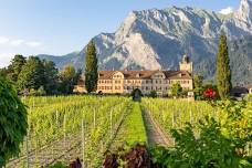 SUMMER WINE TASTING – LUZERN