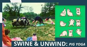 Swine & Unwind: Pig Yoga