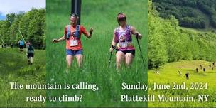 Plattekill Mountain Race