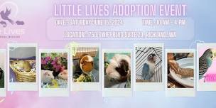 Little Lives Adoption Extravaganza