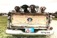 Well Dogs at GM Truck Fair, Greeneville