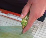 Learn to Cut Glass - Evening Class