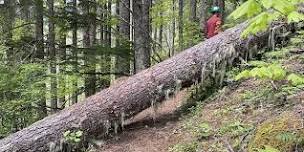 Salmon River Trail Party - Mt. Hood