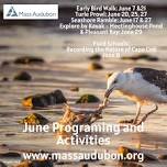 Early Bird Walk at Wellfleet Bay — Wellfleet Cultural District and Events