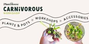 Carnivorous Workshop