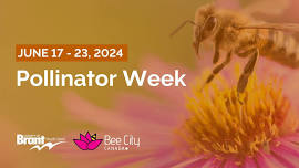 Pollinator Week